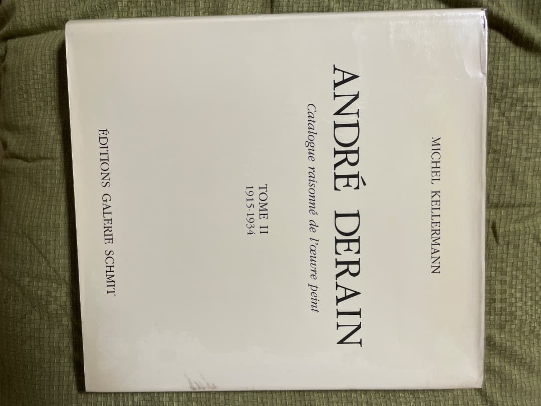 アンドレ ドラン 図録