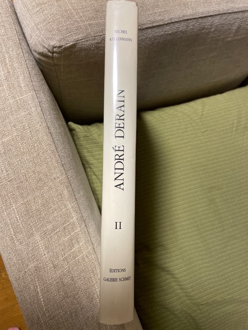 アンドレ ドラン 図録