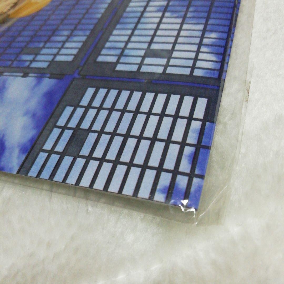 Steins;Gateシュタインズゲート 負荷領域のデジャヴ 非売品ボード