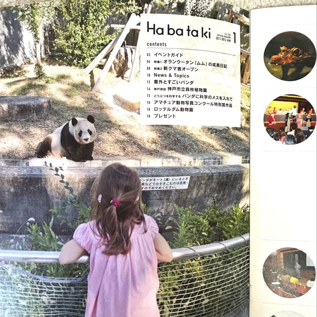 K*J様 【貴重】王子動物園 Habataki はばたき vol.1 タンタン表