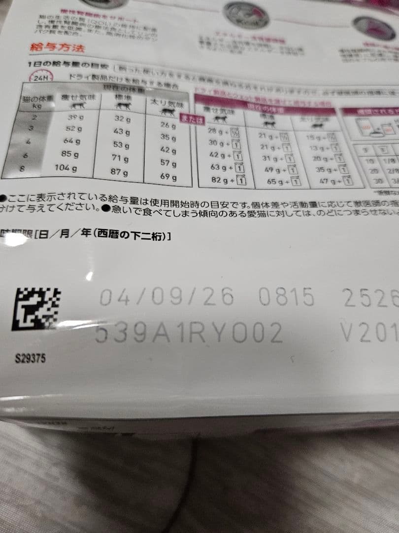 ティファニーです。