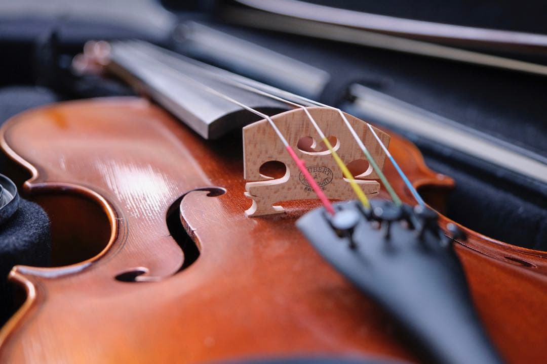 【付属品多数】Viola 39.5 ヴィオラ