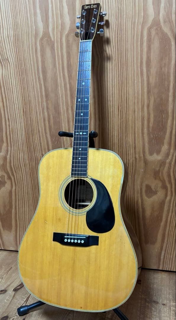 年末特価【大文字ロゴ】　Cat's Eyes CE-250 JV ハードケース