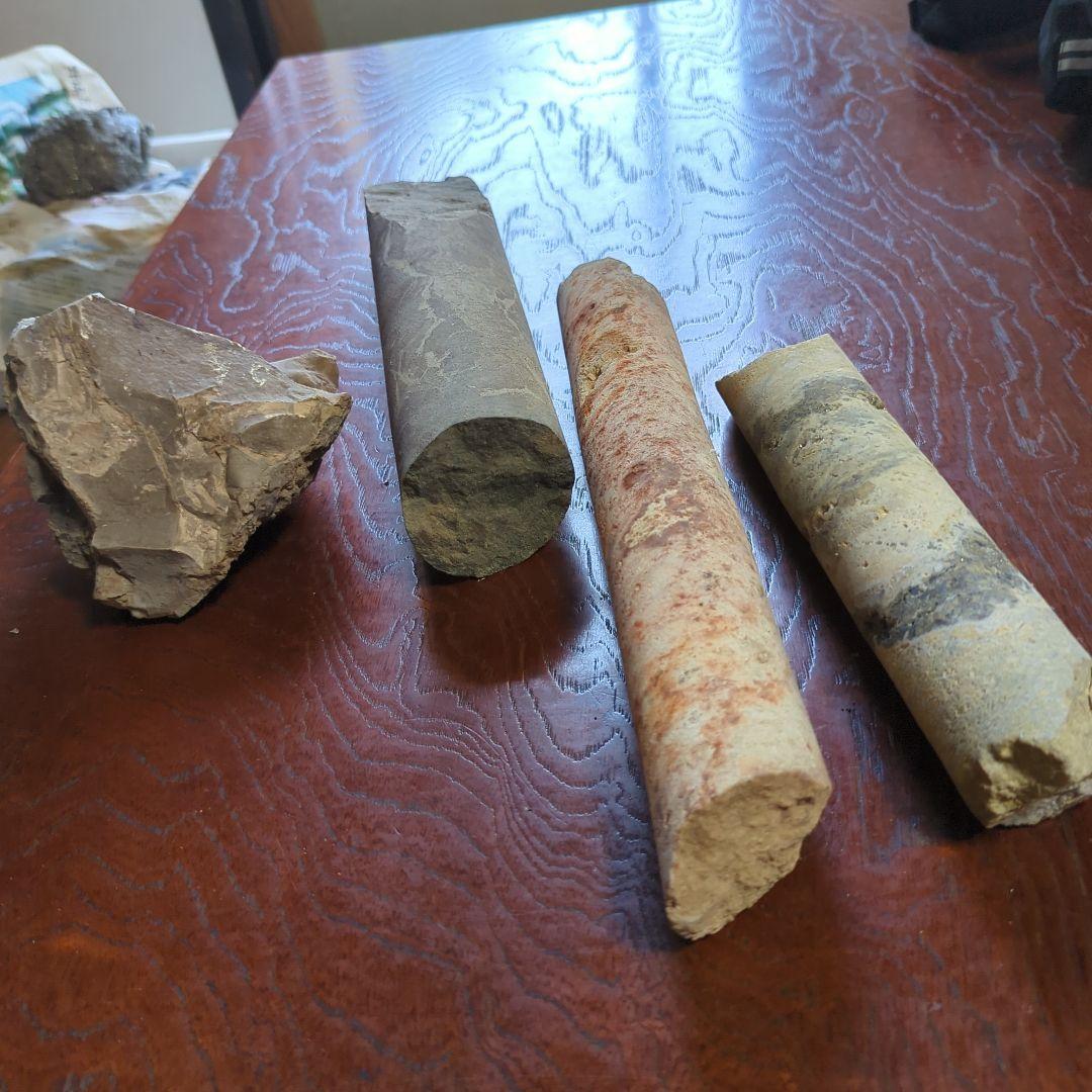 化石 不規則な形状 グレー系 約10cm