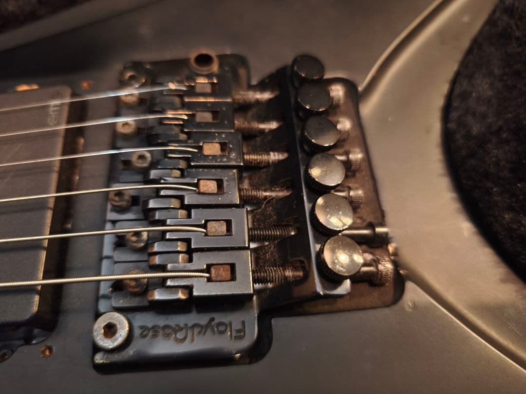 DBZ GuitarsVENOM エレキギター ブラック