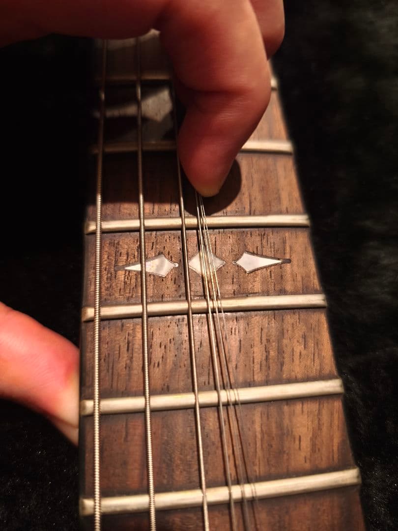 DBZ GuitarsVENOM エレキギター ブラック