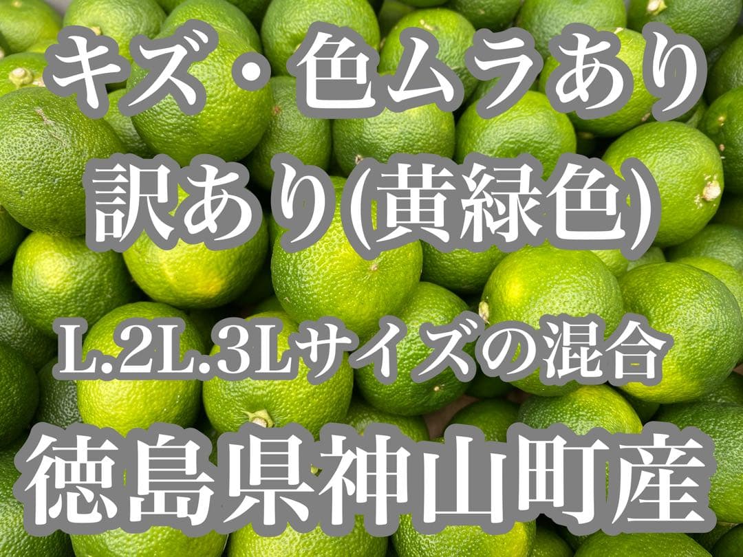 徳島県神山町産すだち《冷蔵貯蔵》7キロ　キズ・色ムラあり　黄緑色になります。