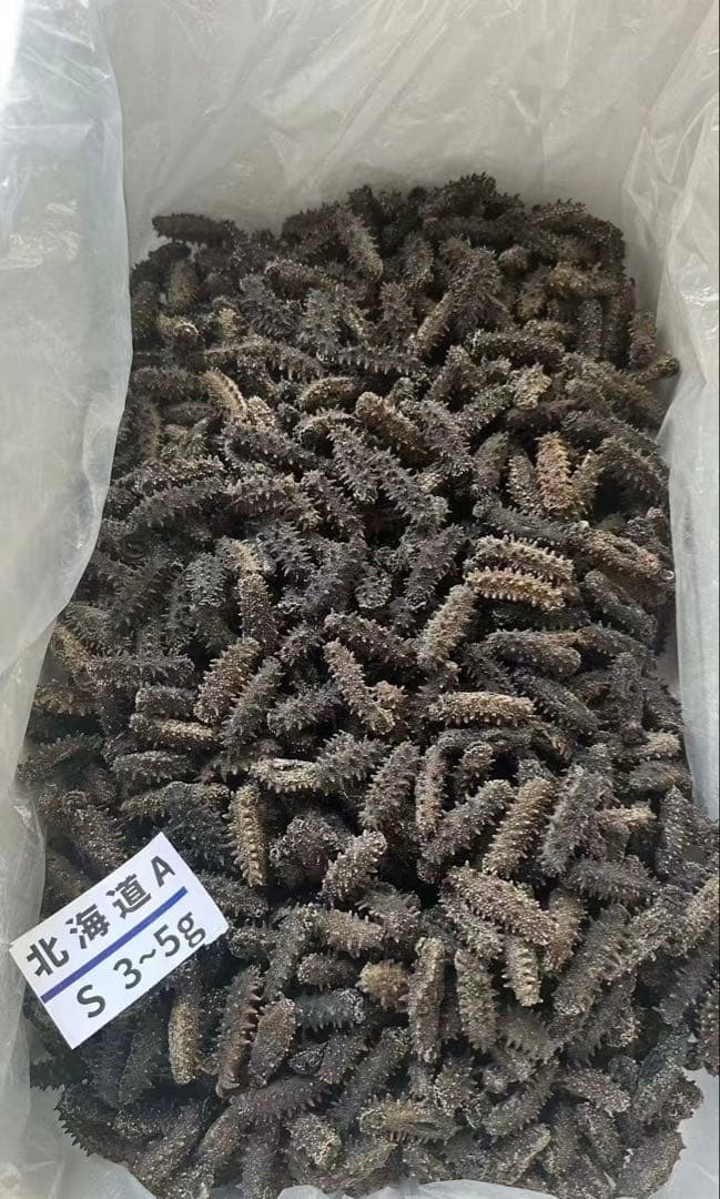 【北海道産】 乾燥なまこ 天然 厳選A級品 100g S(5g以下