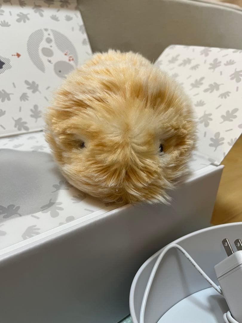 モフリン　ゴールド　CASIO