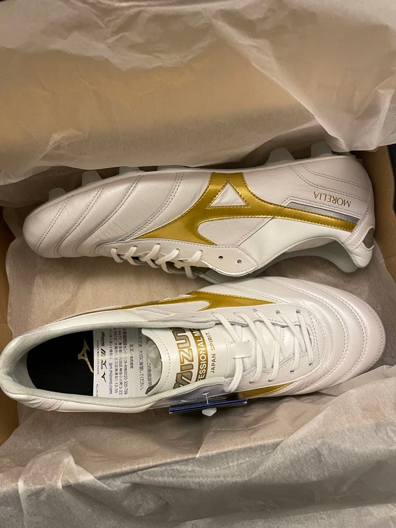 モレリア 2 JAPAN(ジャパン)限定カラー 27.5