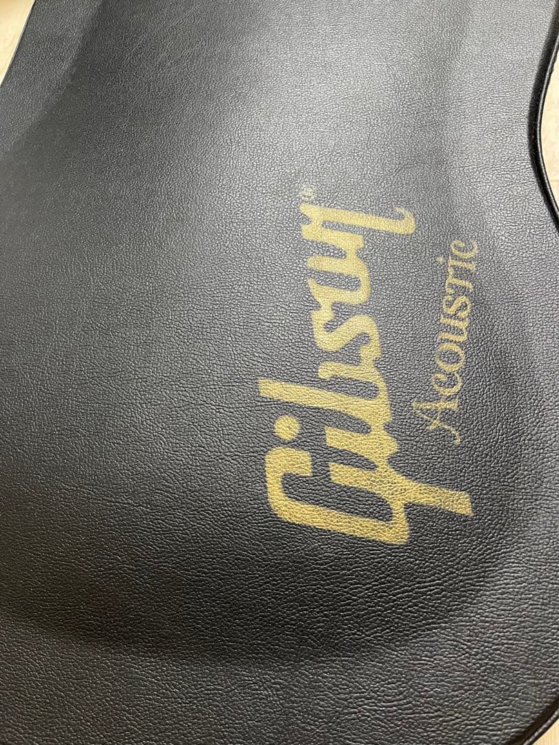 アコースティックギター　Gibson Doves in flight