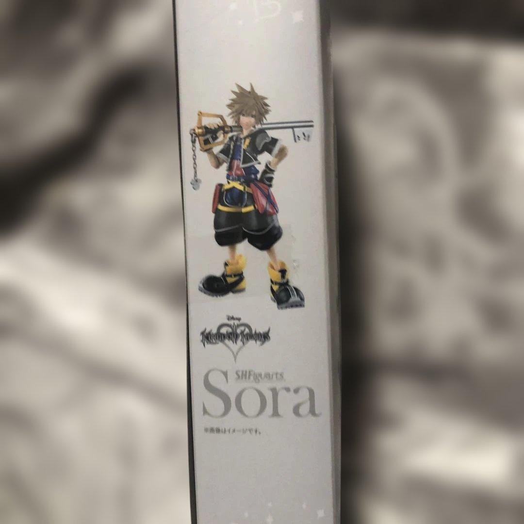 キングダムハーツⅡ ソラ