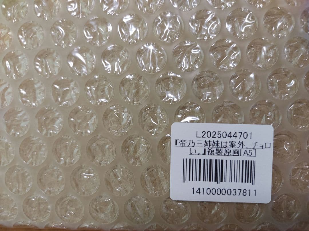 帝乃三姉妹は案外、チョロい。 複製原画 A5