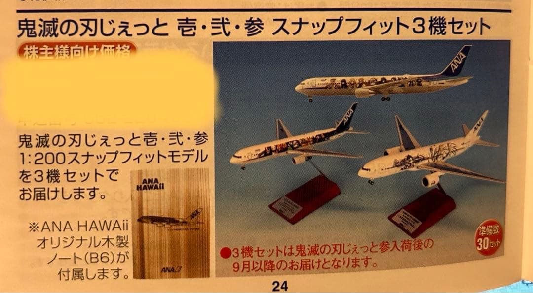 サワ様専　鬼滅の刃じぇっと壱・弐・参 3機セット/鬼滅の刃×ANAタイアップ