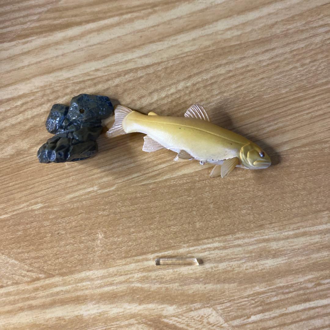 【中古】YUJIN 原色淡水魚図鑑　イワナ ウナギ　大正三色