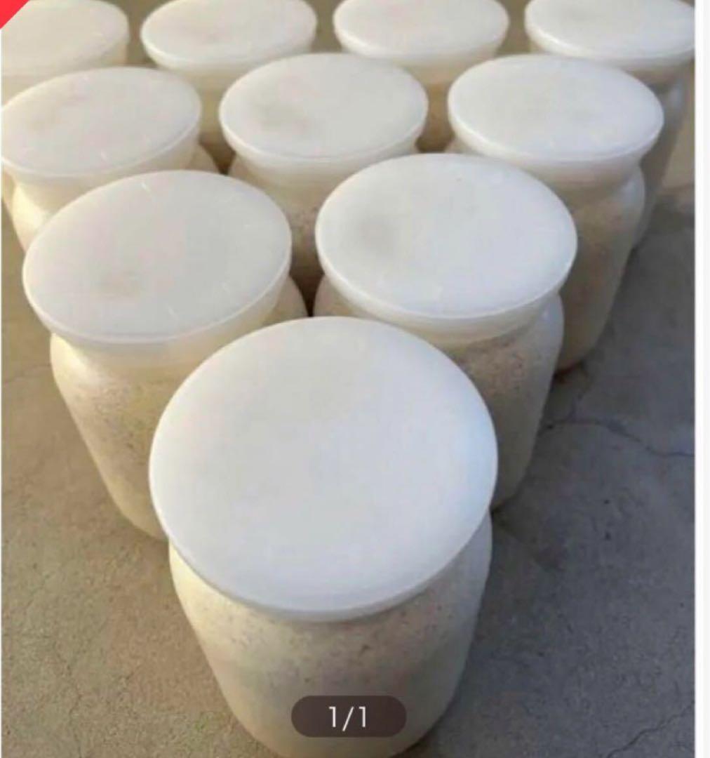 カワラ菌糸1100 10本