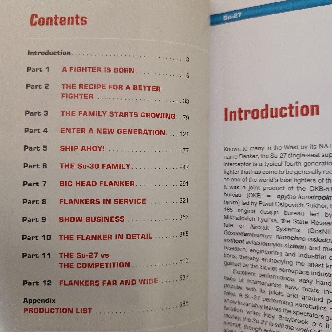 Sukhoi Su-27 スホーイ　スホイ　ロシア
