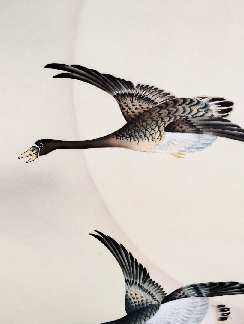 掛軸　高木春石　月に雁