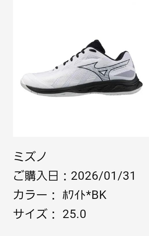Mizuno WAVE ファングEL2バドミントンシューズ JP 25.0