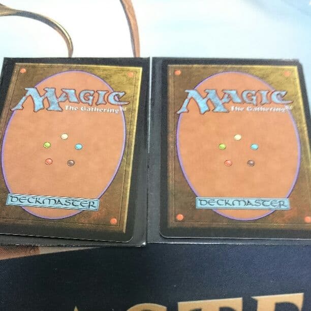 汚染 英語版 2枚セット