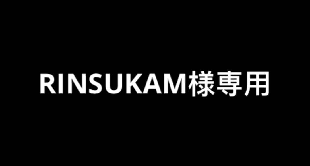 その他 RINSUKAM