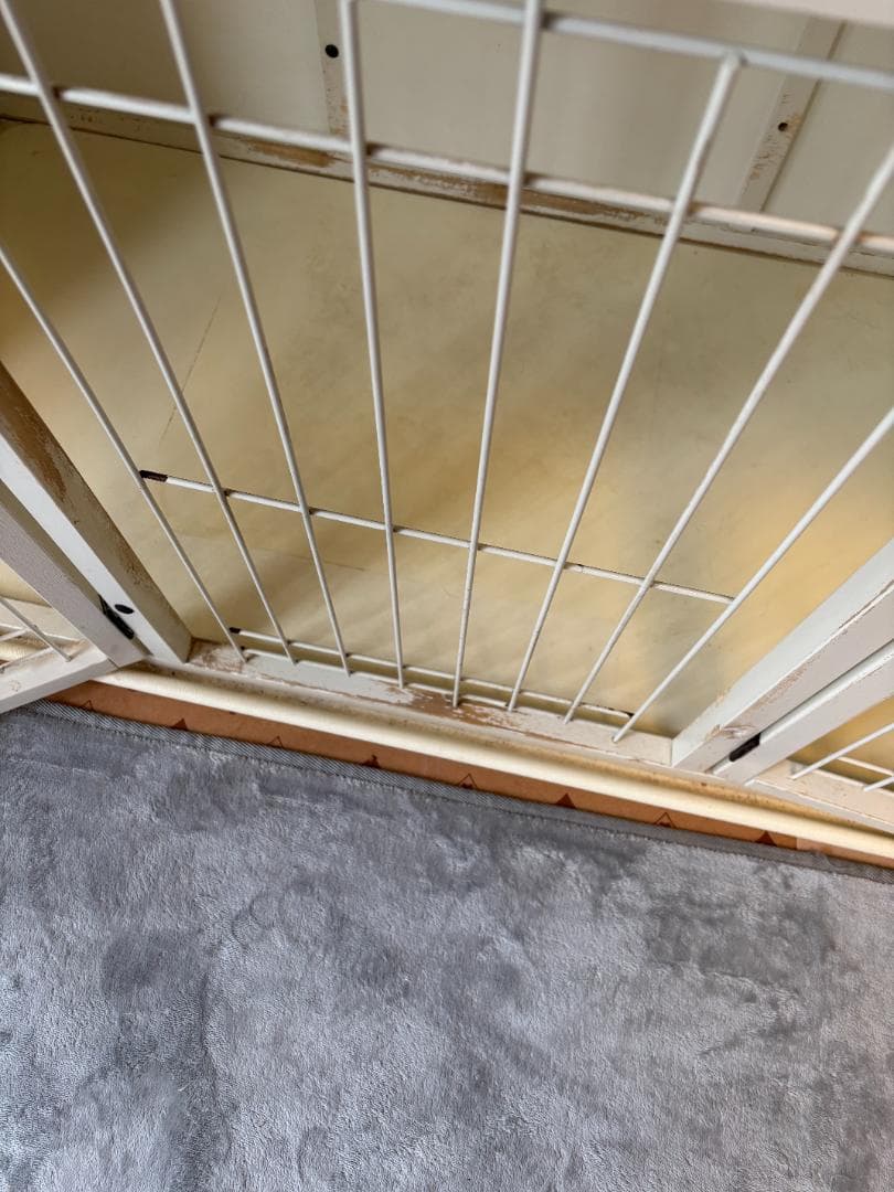 希少☆廃版✨犬ケージ★ナチュラルワン☆ ホワイト☆彡