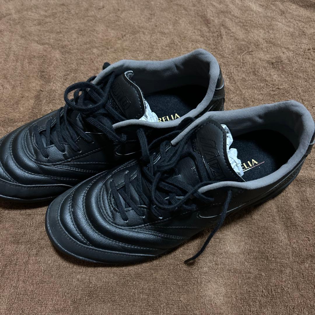 モレリア　サラ　プロ　TF