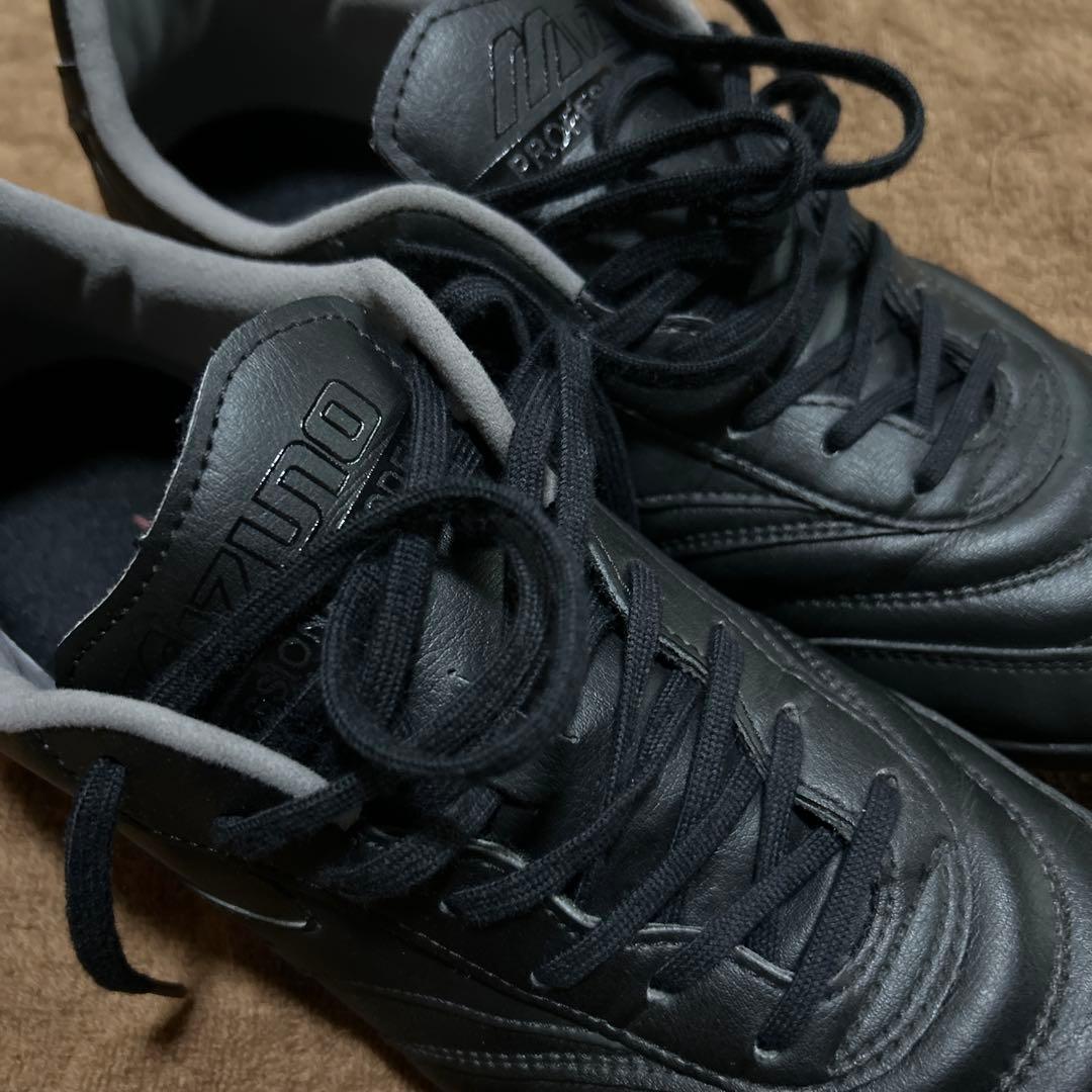 モレリア　サラ　プロ　TF