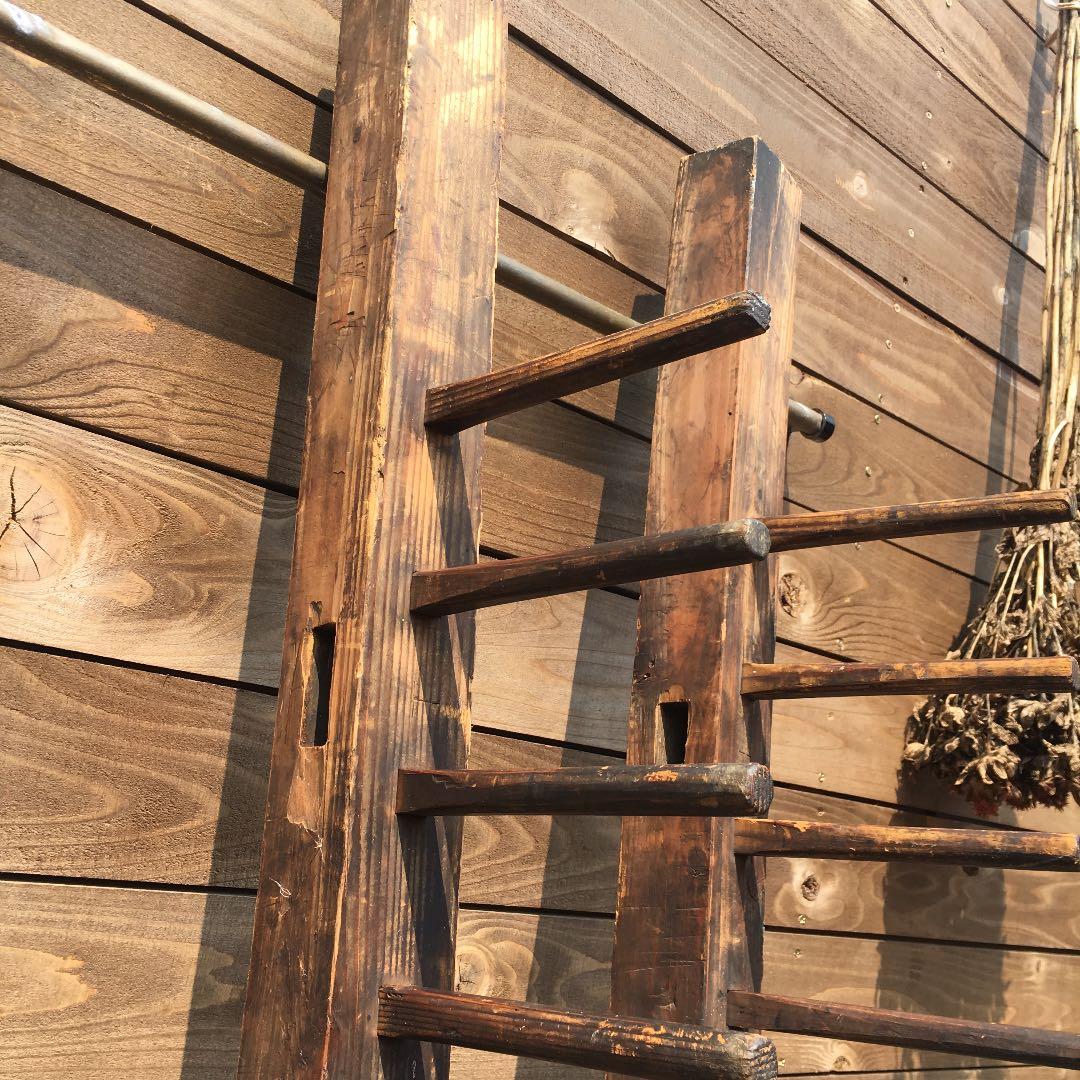 アンティーク   繭  蚕紡ぎ