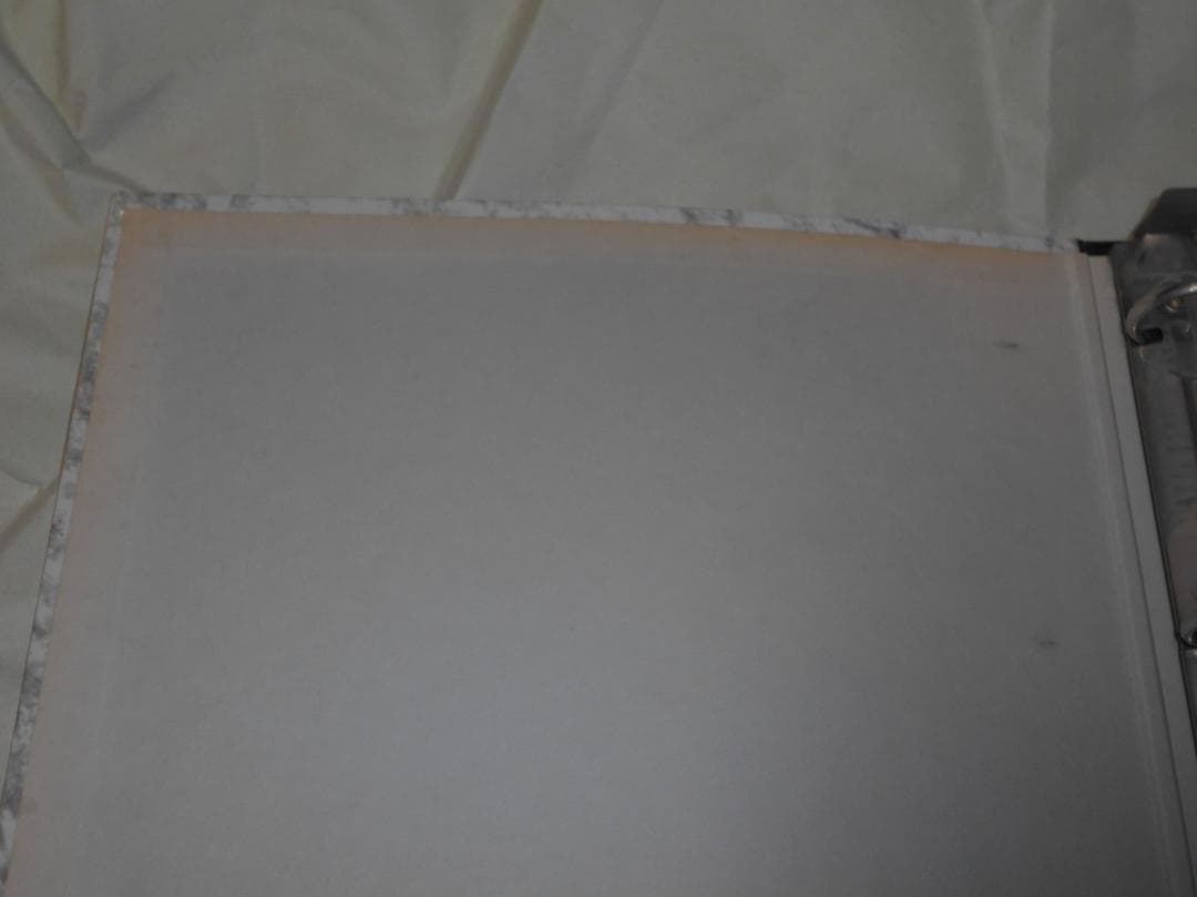 d*9様 エヴァ　トレカ　カード　まとめ　バインダー入り　ノーマルのみ　1集　版