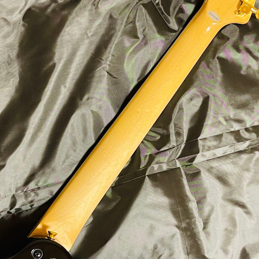 【廃盤品】FERNANDES PAINT-ZO hideコラボ ソフトケース付き