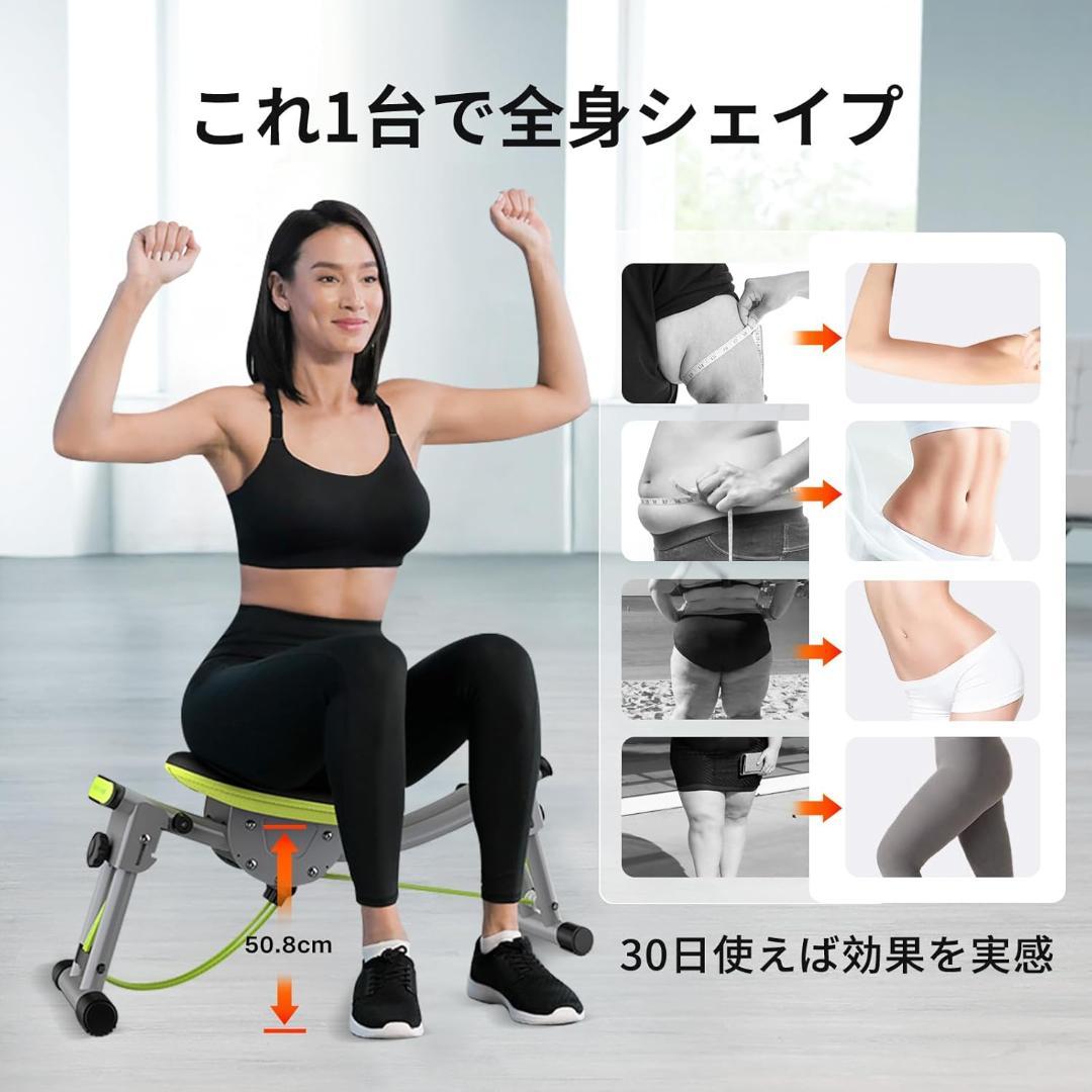 【ワンダーコア】 Sway N Fit - ツイストチェア 骨盤チェア