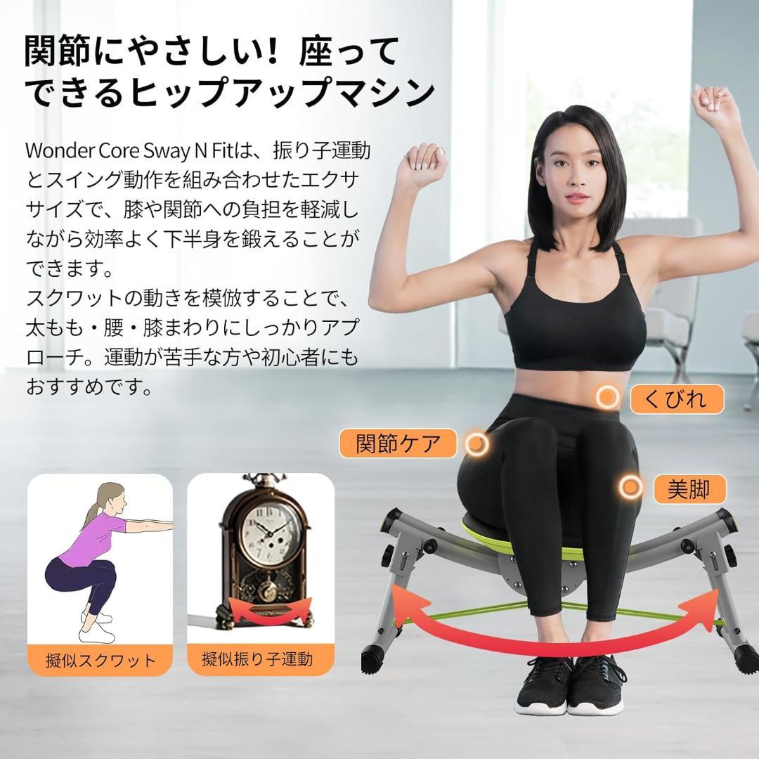 【ワンダーコア】 Sway N Fit - ツイストチェア 骨盤チェア