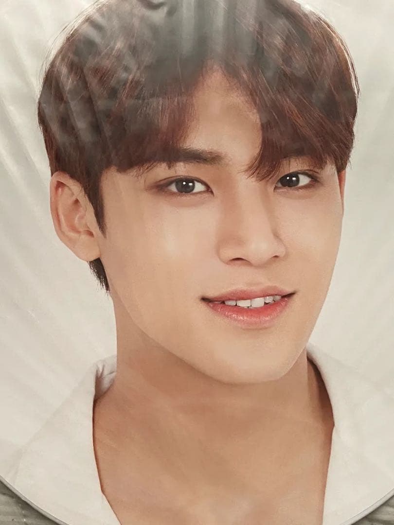 SEVENTEEN セブンティーン セブチ ミンギュ うちわ 団扇 セット