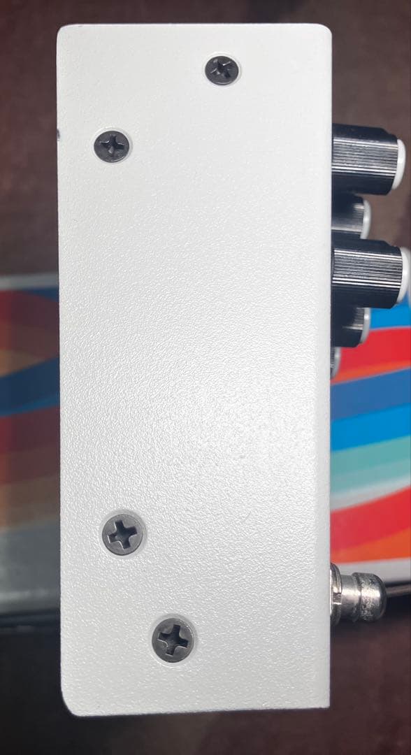 Hologram Electronics Microcosmグラニュラールーパー