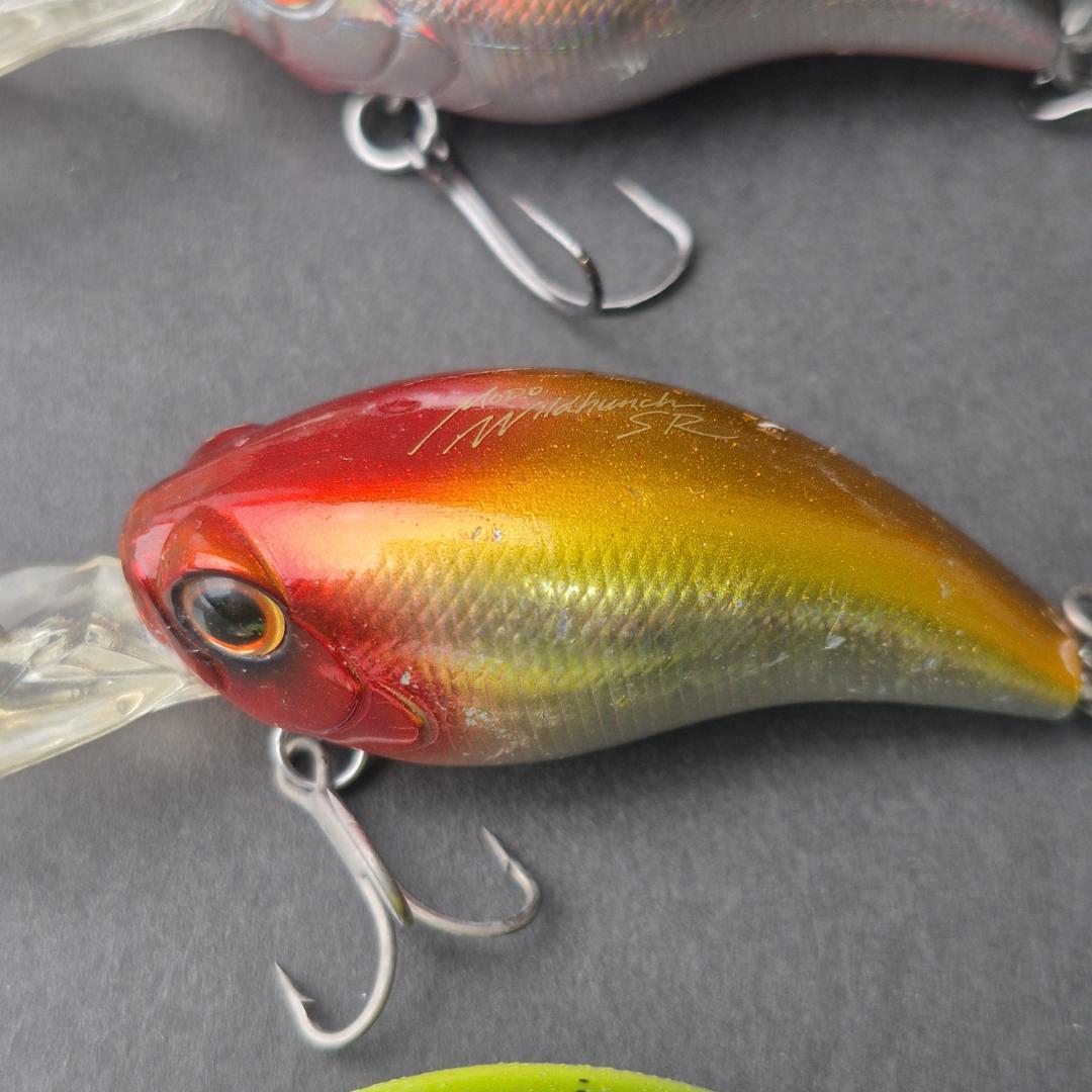 Evergreen MODO ワイルドハンチ 10個セット　a141-150