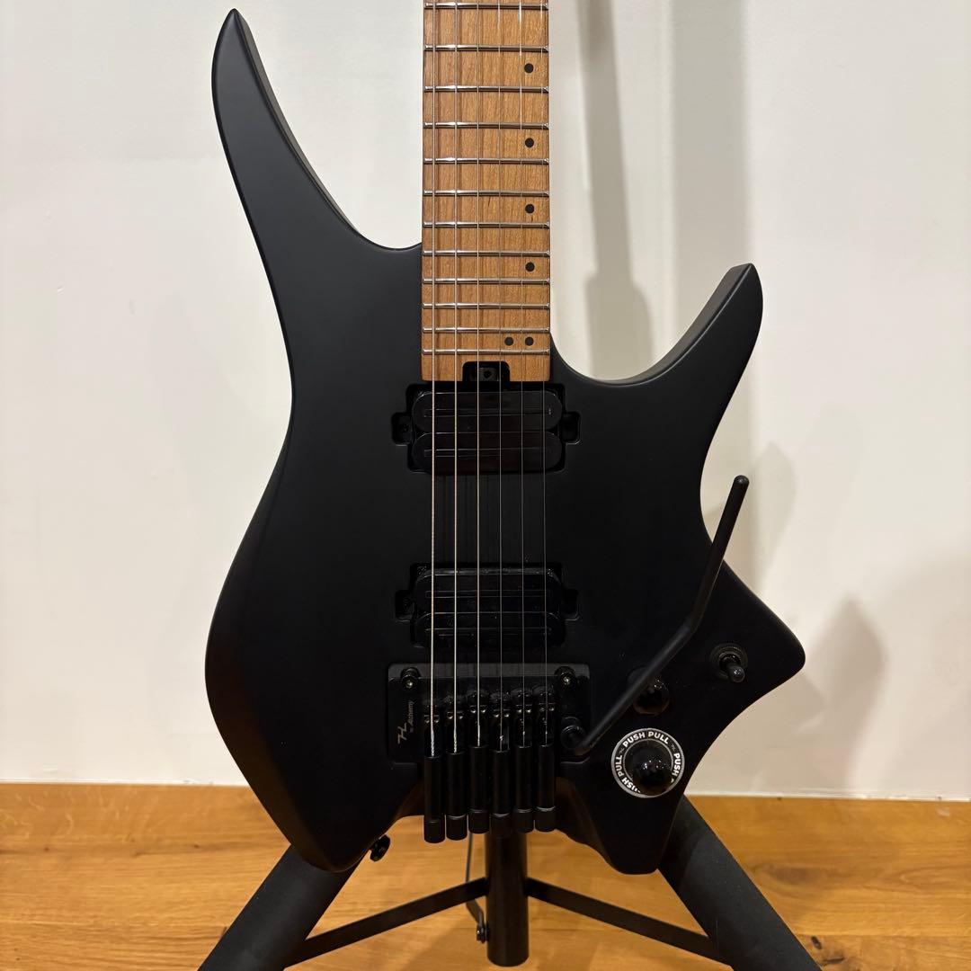 ギター HEX Guitars / N500P Black