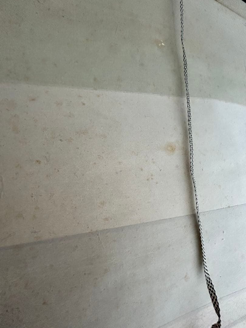 掛け軸 嵐山春三景