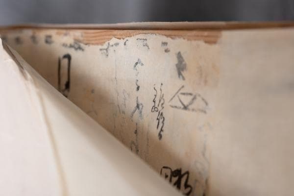 明治26年 ★『明治天皇陛下肖像画』★高精細な肖像画 ！ 約97×64cm