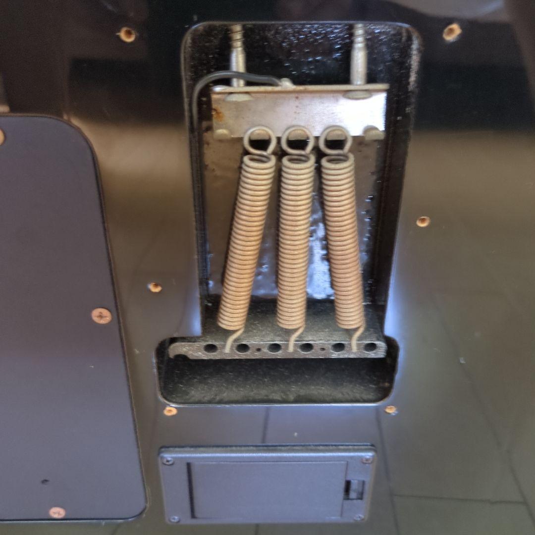 TE-120S HT☆布袋寅泰モデル☆サスティナー☆FERNANDES製