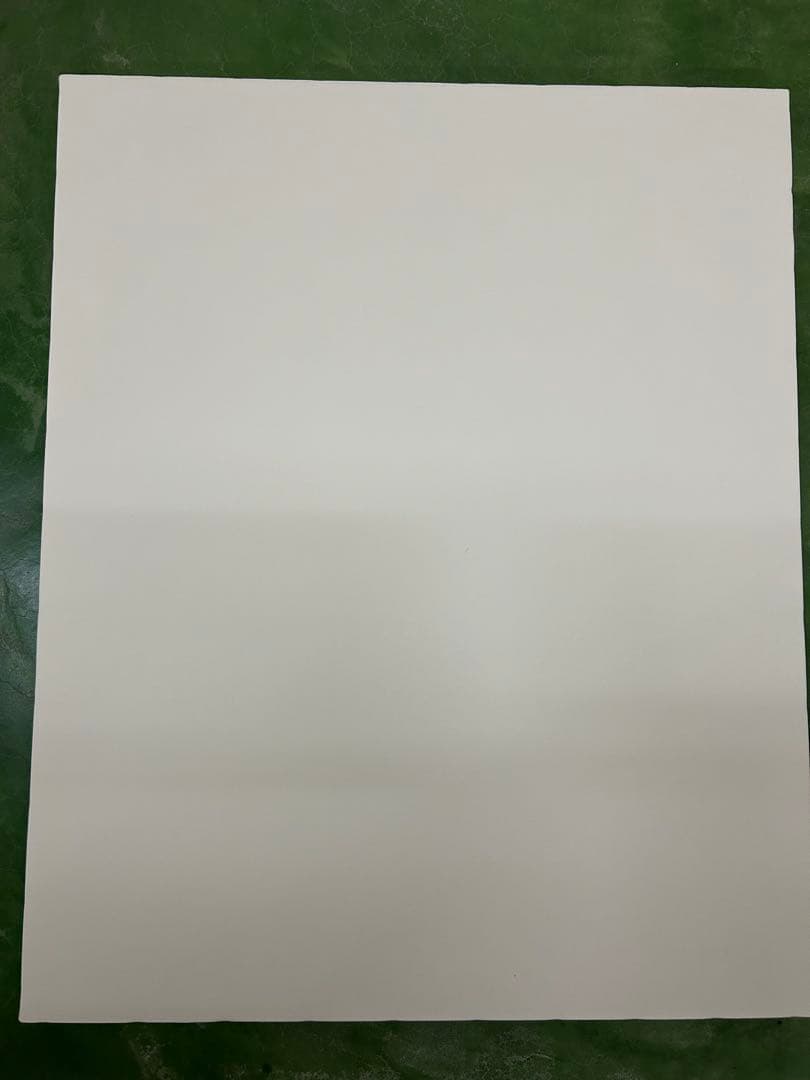 【新品まとめ売り特別価格】F25 キャンバス　　クレサンジャパン　4枚セット画材