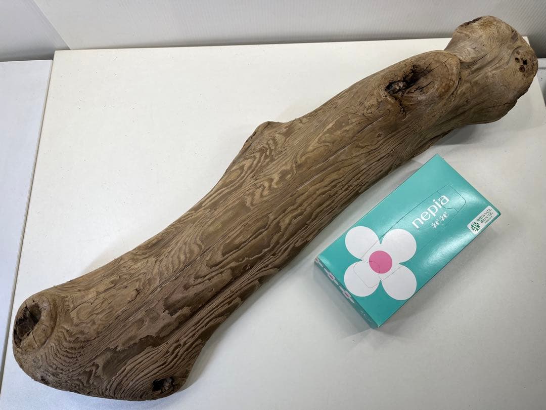 n42特大流木 大型流木 アク抜き済み 爬虫類シェルター レイアウト用 登り木