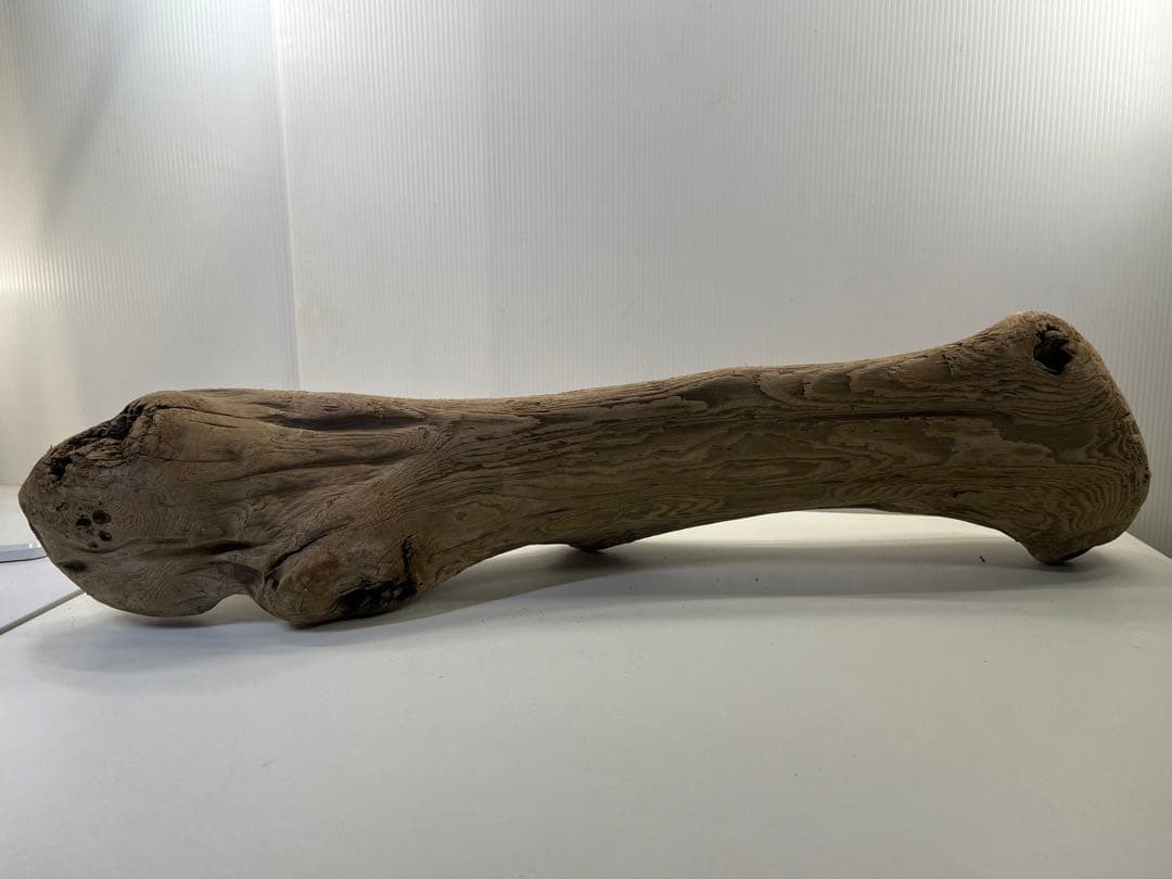 n42特大流木 大型流木 アク抜き済み 爬虫類シェルター レイアウト用 登り木