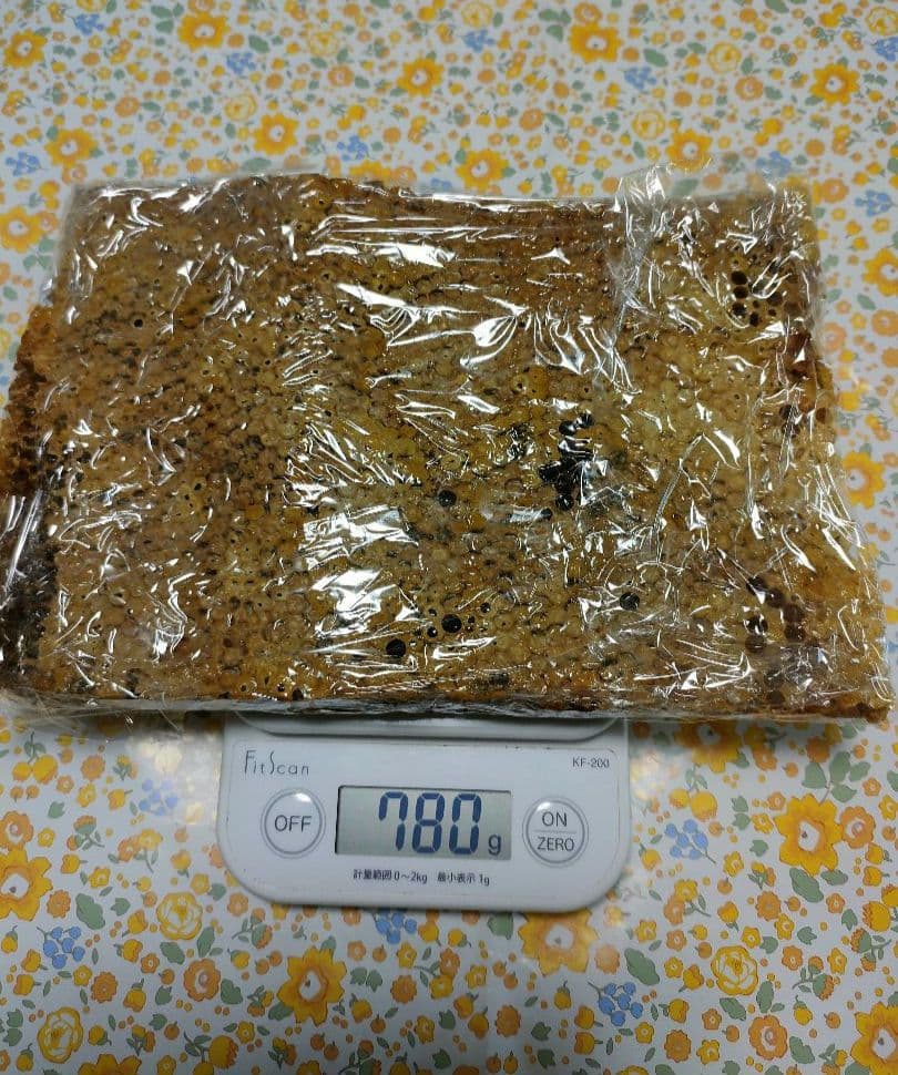 ｔache&　日本ミツバチの希少な巣蜜です。