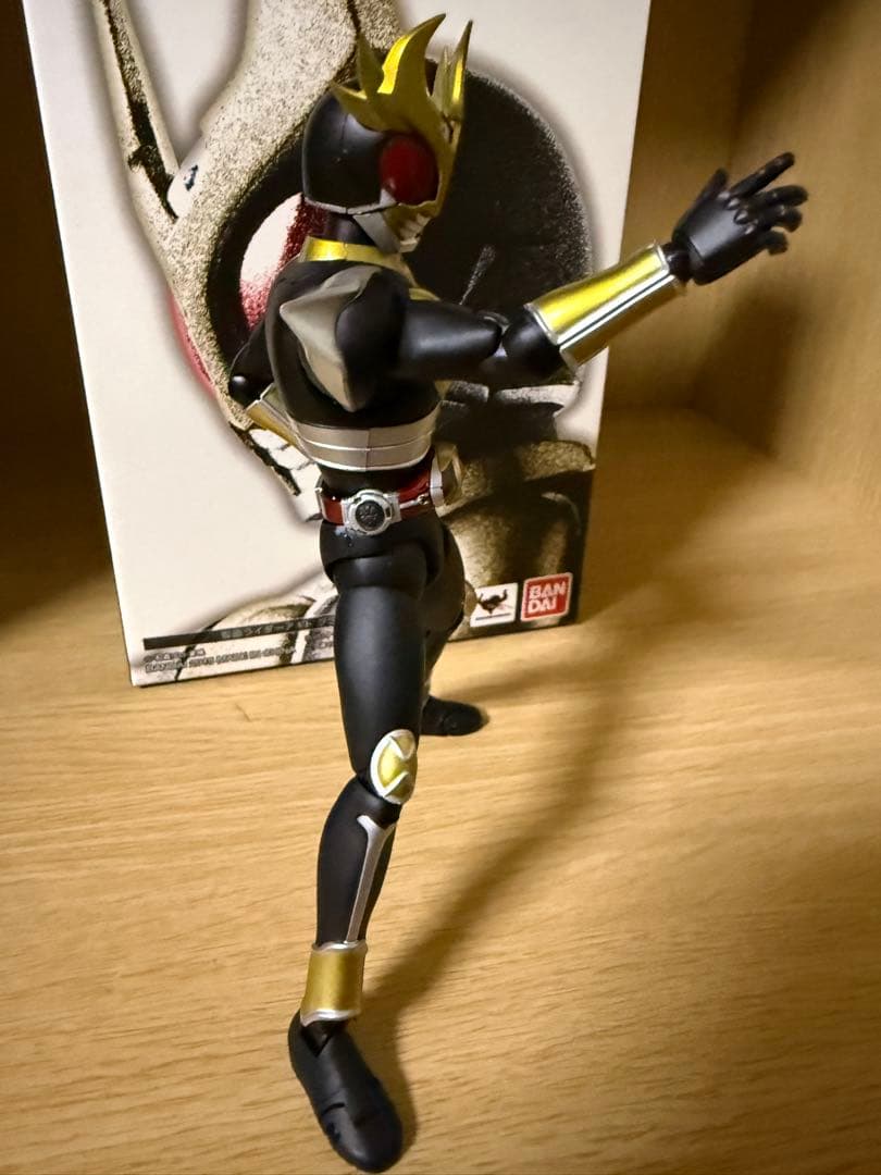 SHフィギュアーツ（真骨頂製法）仮面ライダー アギト