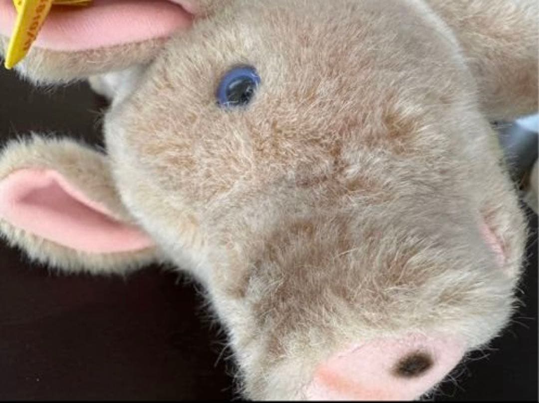 シュタイフ　ヴィンテージ　jolanthe ぬいぐるみ 豚　ブタ　steiff