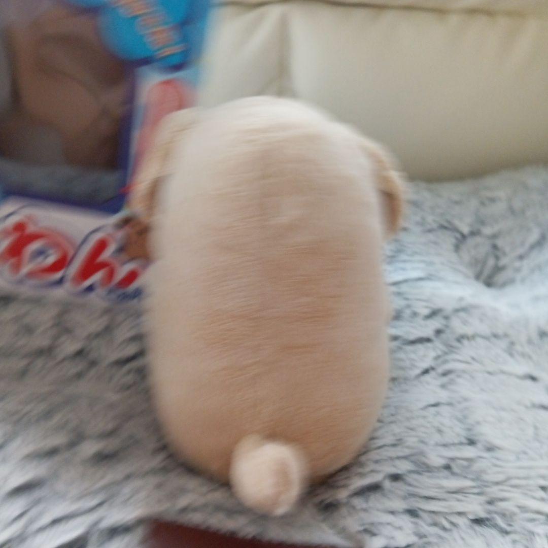 こえマネわんちゃん美品✨️