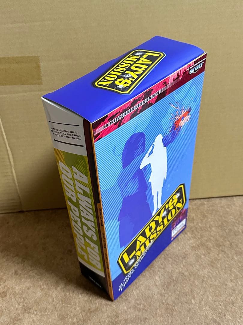 レーディス　ミッション　1/6 航空自衛隊　夏木三等空曹　　スカイネット