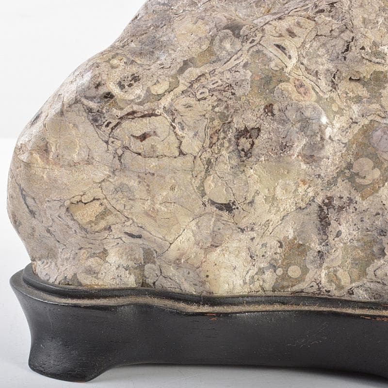 天然石　鑑賞石　梅花石　置物　重さ約2452g　唐木台付　V　R6916