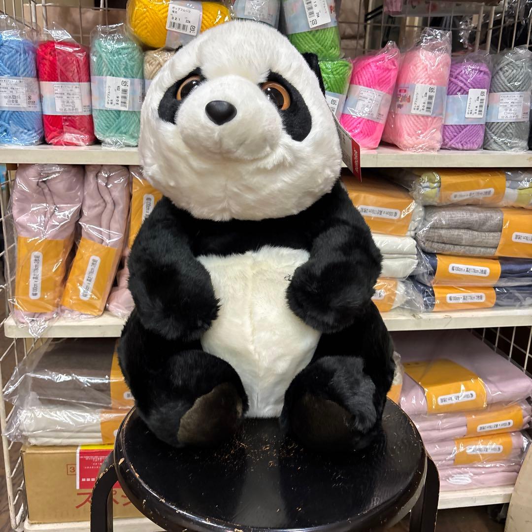 AURORA パンダ ぬいぐるみ 約50 cm